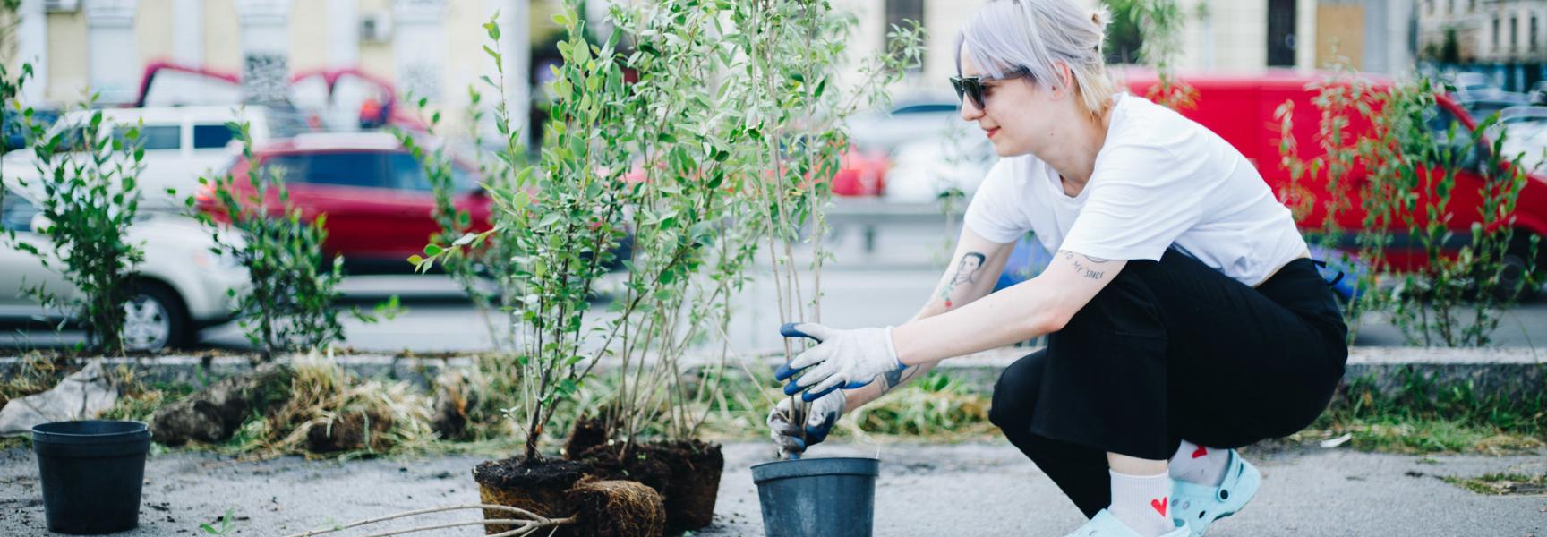 Woman working on living green wall in Ukraine